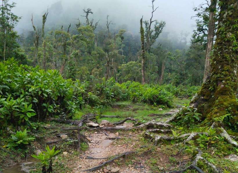 SAPA : Climb up to Fansipan mountain with LOCAL GUIDE - Weather, clothing, and safety