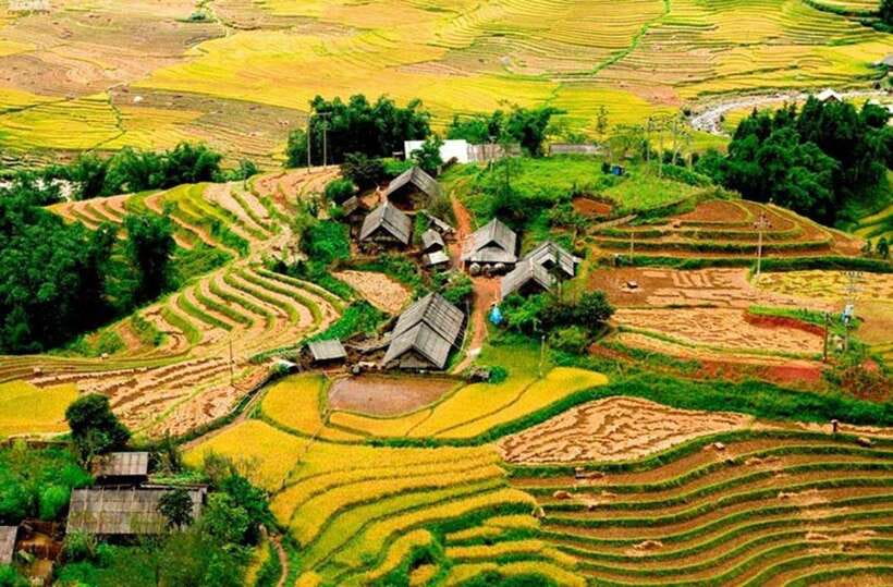 Sapa: Eco Adventure Terrace Fields and Local Villages Trek - Muong Hoa Valley, where the terraces do the talking