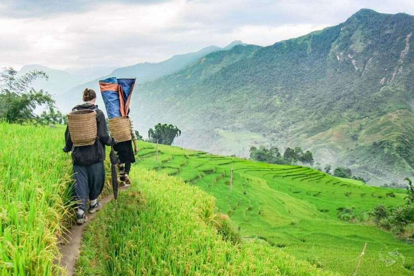 Sapa: Eco Adventure Terrace Fields and Local Villages Trek - Lao Chai Village and working rice fields
