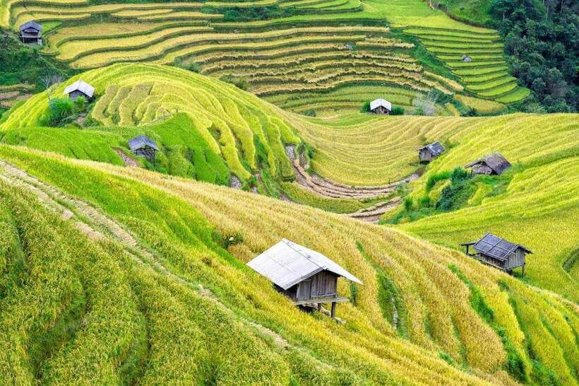 Sapa: Eco Adventure Terrace Fields and Local Villages Trek - Learning about Hmong clothing and daily life