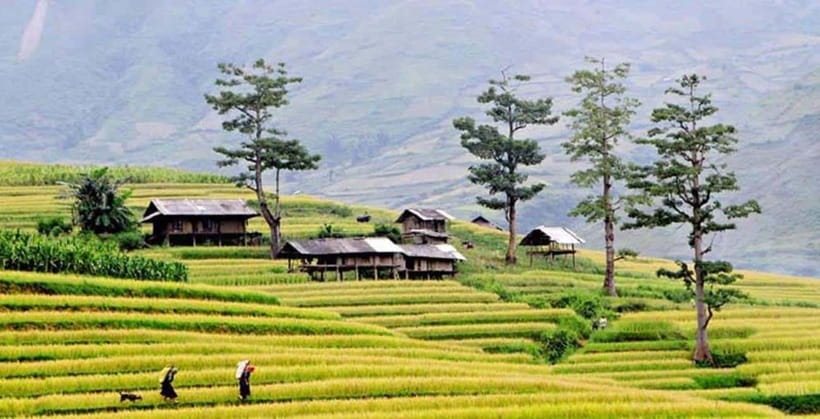Sapa: Eco Adventure Terrace Fields and Local Villages Trek - The first viewpoint and the long view toward Fansipan