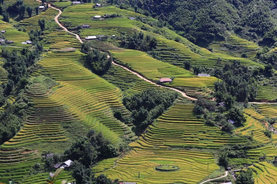 Sapa: Local Exploration on a Guided Motorbike Tour - Riding with a local guide