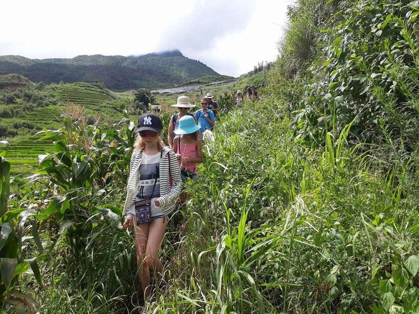 Sapa: Love Silver Waterfall, LonelyTree in Heaven-Rice Field - Walking through fields below Fansipan