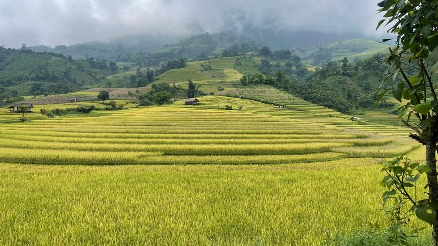 Sapa: Motorbike Tour 1 Day Visit Waterfalls & Local Villages - Down into Muong Hoa Valley and its villages