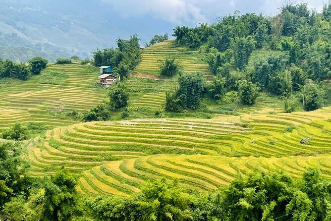 Sapa Motorbike Tour With Local Guide 1 Day - Waterfalls, Villages - Weather, comfort, and what to bring