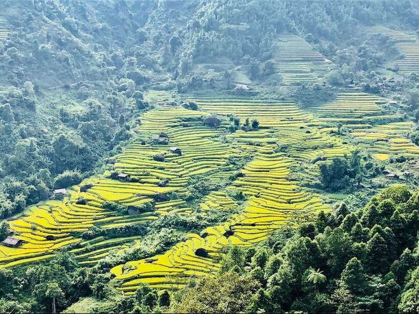 Sapa: Private Highlights Day Tour with Lunch - Muong Hoa Valley, Y Linh Ho, and Lao Chai