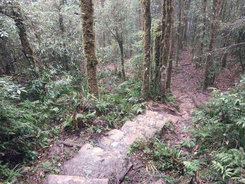 Sapa: Private Highlights Day Tour with Lunch - O Quy Ho Pass and the Lonely Tree