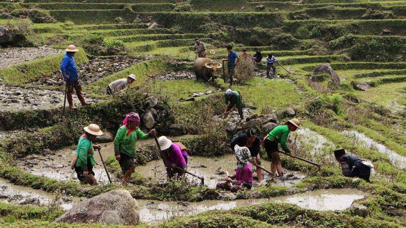 Sapa Trekking Bargains With Local Guide - Key points at a glance