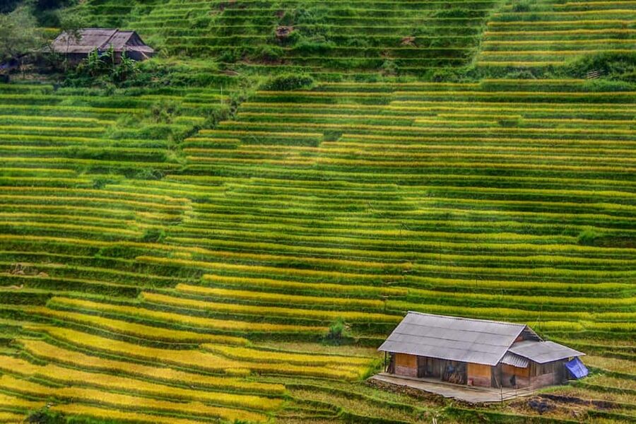 Sapa Trekking Bargains With Local Guide - Why this Sapa trek feels different