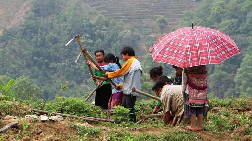 Sapa Trekking Bargains With Local Guide - Y Linh Ho: the first long stretch