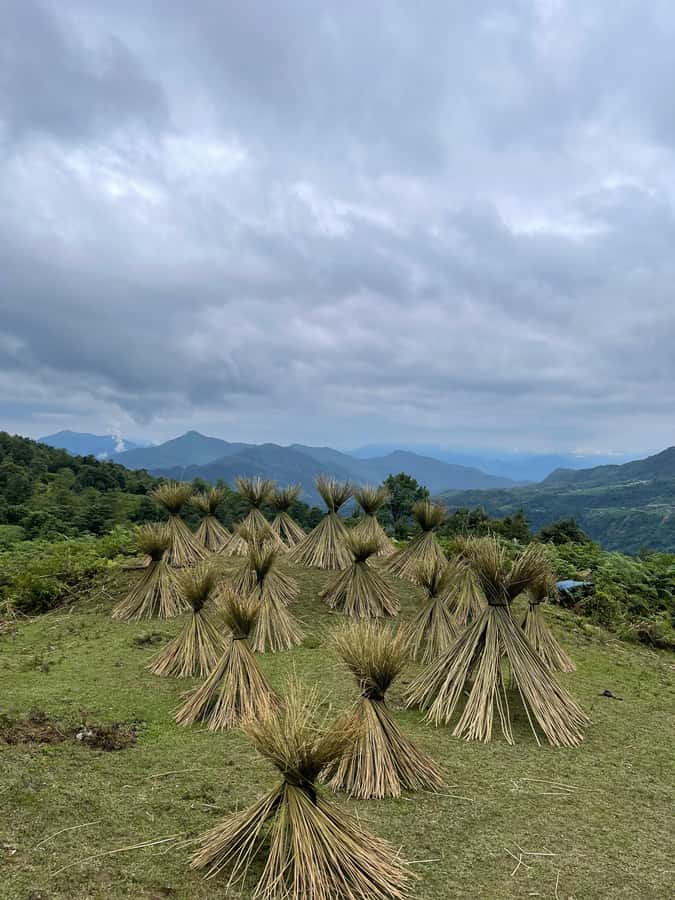 Sapa: Y Linh Ho - Lao Chai, and Ta Van Trekking Day Tour - Why this route works better than a quick Sapa viewpoint stop