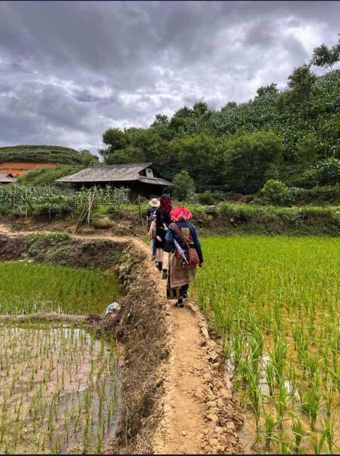 Sapa: Y Linh Ho - Lao Chai, and Ta Van Trekking Day Tour - Practical booking details