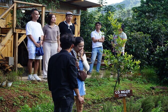 Scented Candle Workshop in Twin Beans Farm Da Lat - The Guide Makes the Difference
