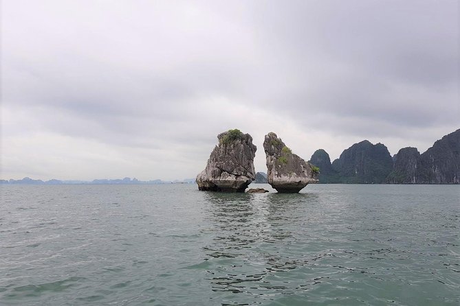 Shore Excursion: Amazing Day Cruise at Ha Long Bay - What the $89 price really includes