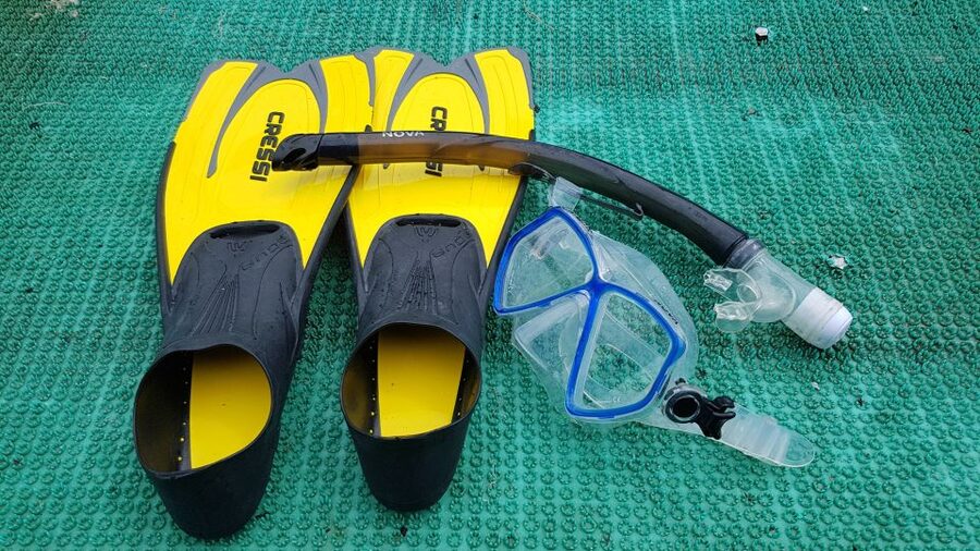 Snorkeling Cham Island: Snorkeling Tour by Speed Boat - The right fit for your swimming ability and health