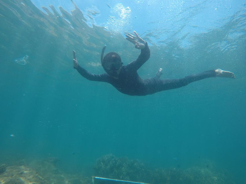 Snorkeling Cham Island: Snorkeling Tour by Speed Boat - Timing, pickup, and what to bring