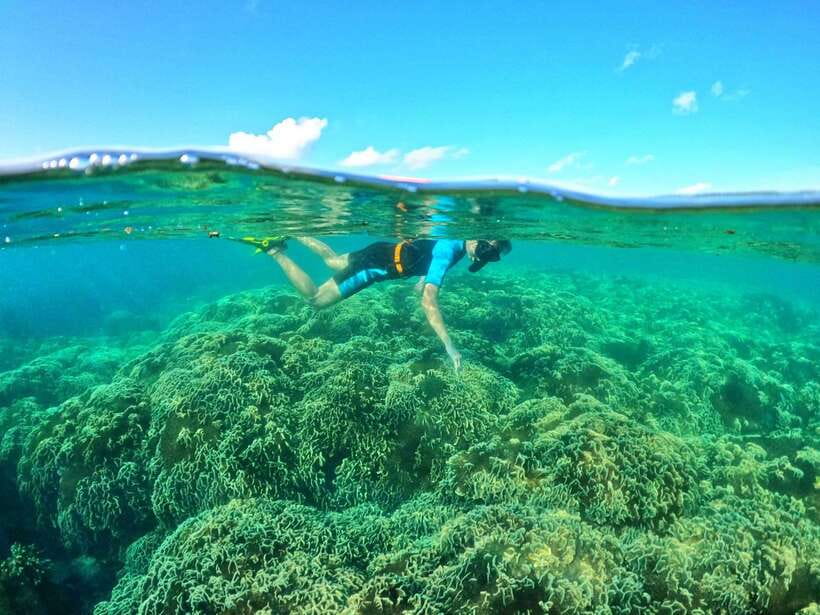 South Phu Quoc: Pro Snorkeling Tour by Speedboat - The island or beach stop, fruit, and juice