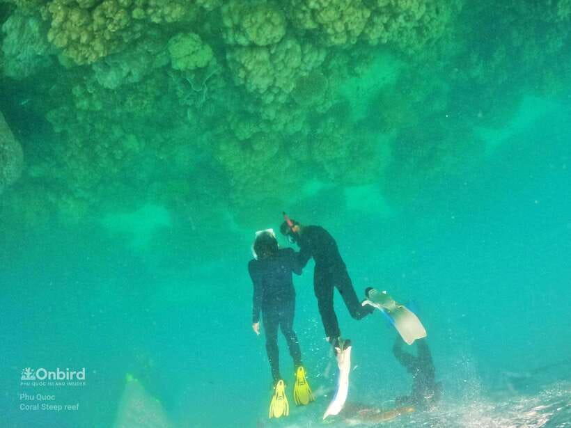 South Phu Quoc: Pro Snorkeling Tour by Speedboat - What the $51 price buys you
