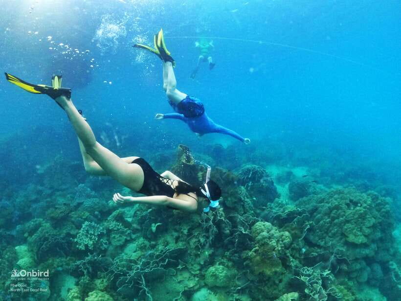 South Phu Quoc: Pro Snorkeling Tour by Speedboat - Pickup, the speedboat, and the first shallow-water lesson