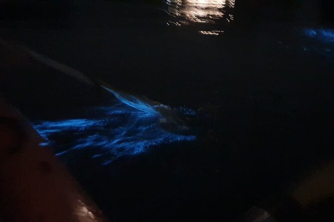 Sunset & Bioluminescent Plankton Kayaking Lan Ha bay - Why the plankton makes this Cat Ba evening special