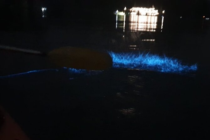 Sunset & Bioluminescent Plankton Kayaking Lan Ha bay - Should you book the Lan Ha Bay night kayak?