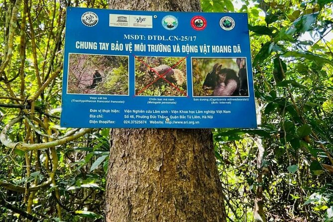 The Hidden Trails of Cat Ba - From Cat Ba’s forest to Lan Ha Bay