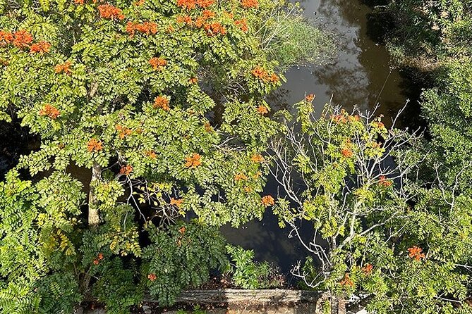 Tour for Nature lover- Lung Ngoc Hoang Nature Reserve in Can Tho - Entering Lung Ngoc Hoang’s 2,800 hectares