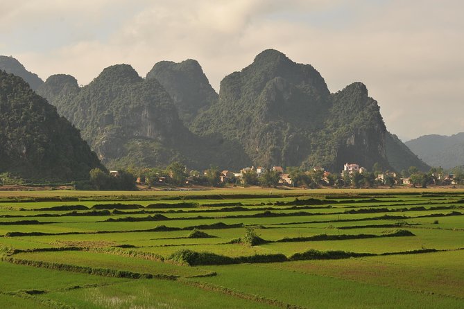 Tour to the caves ONE DAY tour to Phong Nha and Paradise caves - Why these caves are worth a full day from Dong Hoi