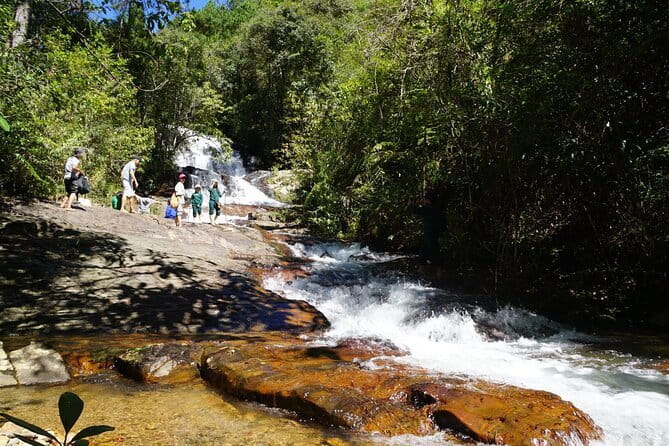 Trekking Tour to Hidden Waterfall & Sturgeon Farm for dog-lovers - Key points to know before you book