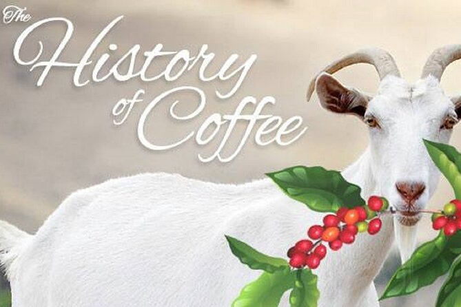 Vietnamese Culture and Coffee Making Class - The cultural background adds real value