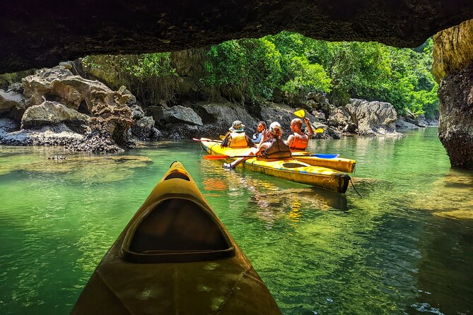 What a great combination, day cruise and night kayak with glowing biolumenescent - Why the glowing water is the real prize